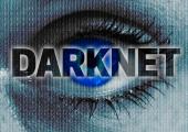 Darknet: dostęp, ciekawe strony i rozgraniczenie z głębokiej sieci